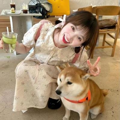 大宋奇案之狸猫换太子传奇